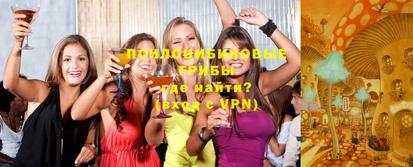 гидропоника Алзамай