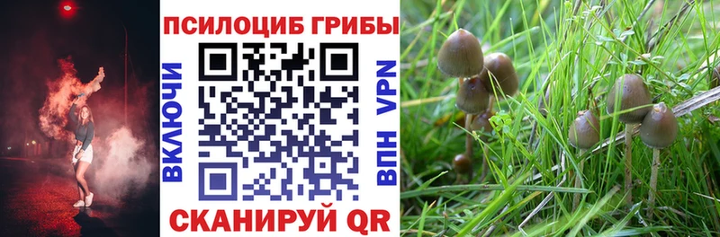 Купить где Улан-Удэ Галлюциногенные грибы Magic Shrooms